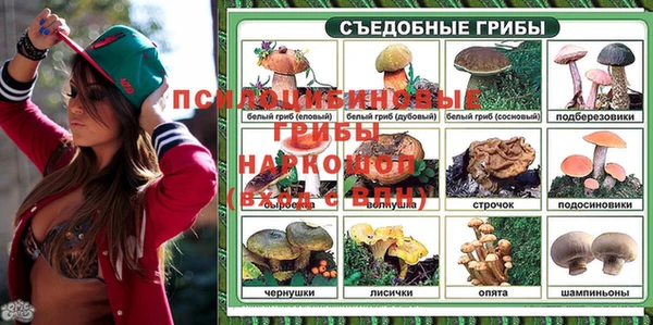 крисы Армянск
