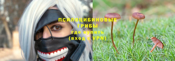 крисы Армянск