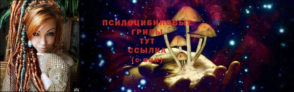 гидропоника Арсеньев