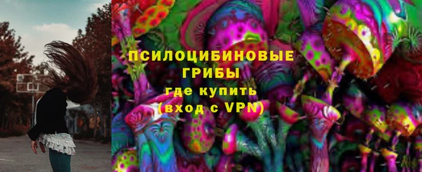 крисы Армянск