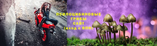 марки nbome Аркадак