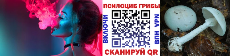 Галлюциногенные грибы Cubensis  Малмыж 